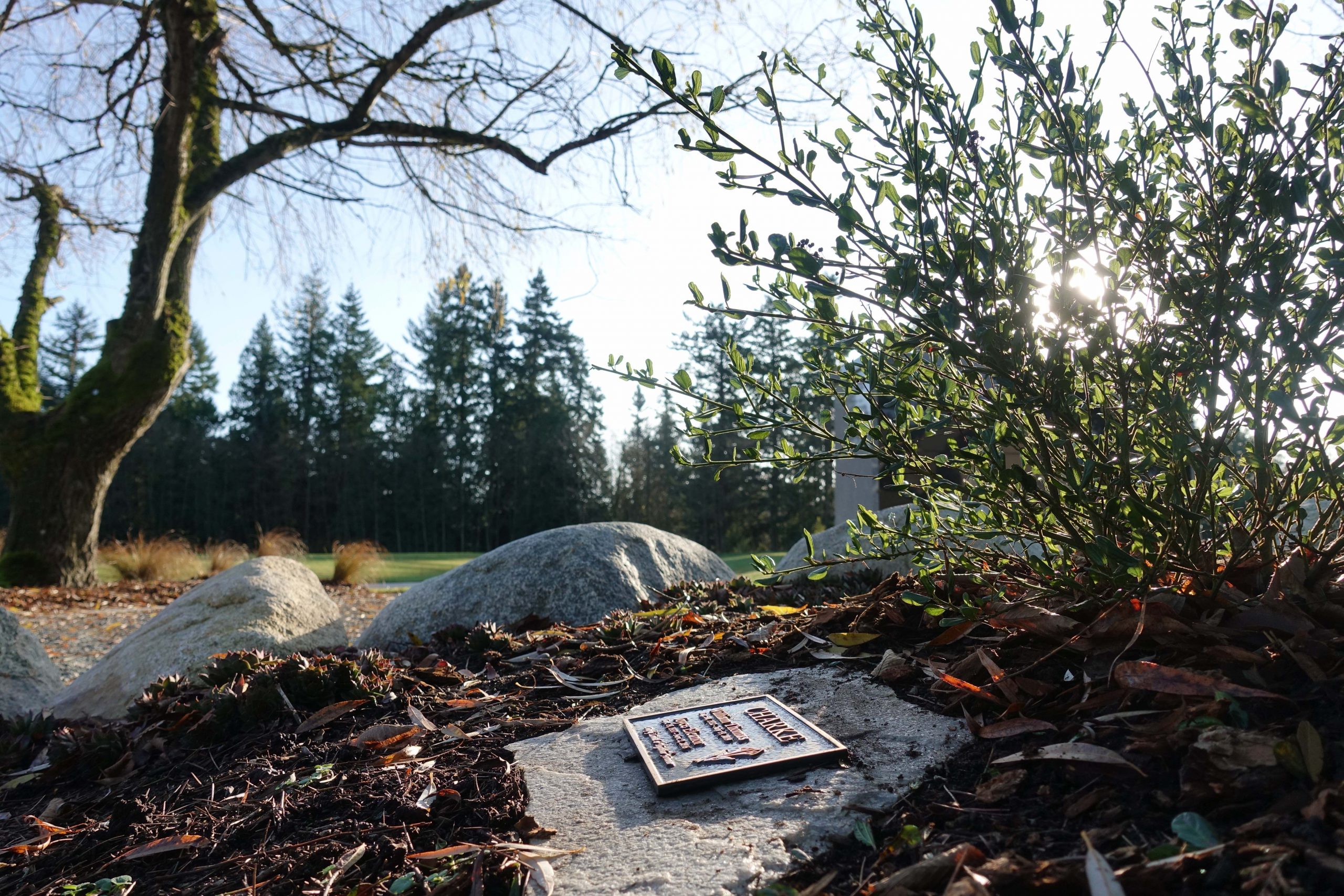 Memorial Tree Burials at Heritage Gardens.  Love Grows.