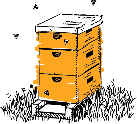 Queen Bee Full Beehive Sponsorship